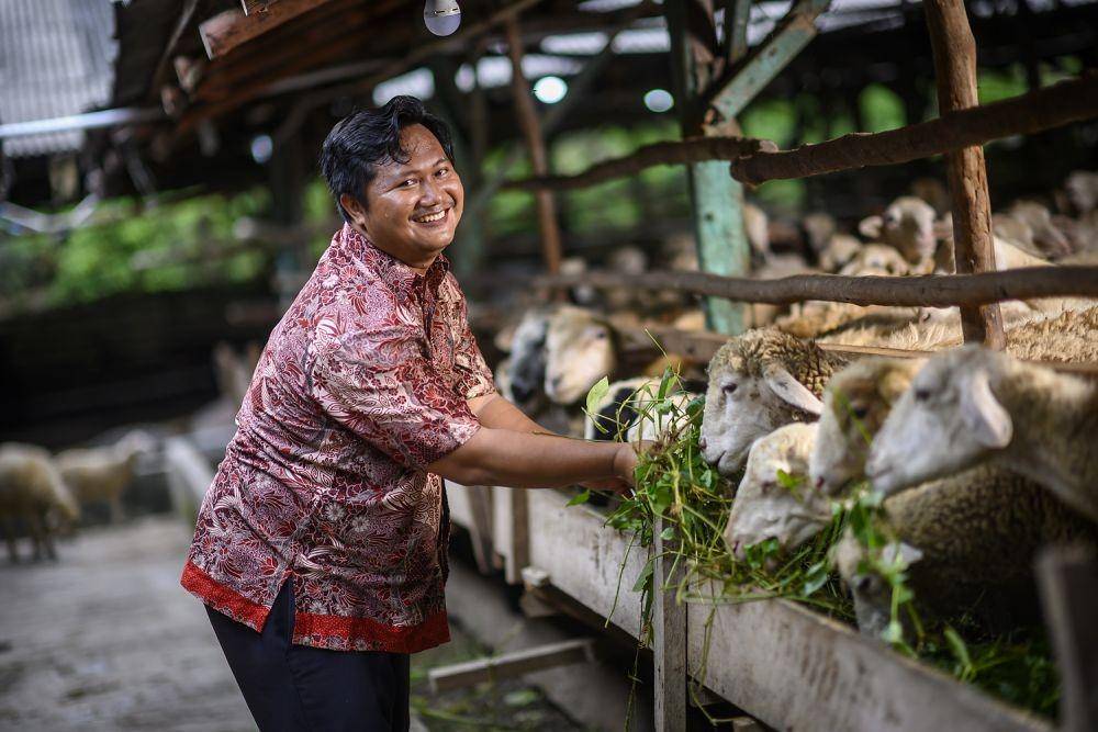 Pendapatan Alternatif bagi Petani. (asianagri.com)