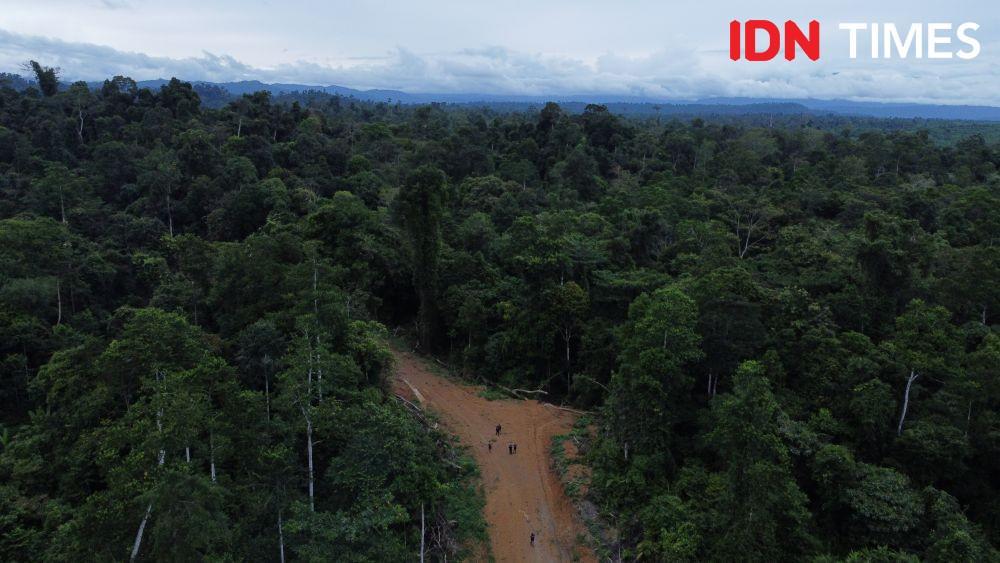 Bergandeng Tangan Cegah Badak Sumatra Hilang di Bumi Andalas