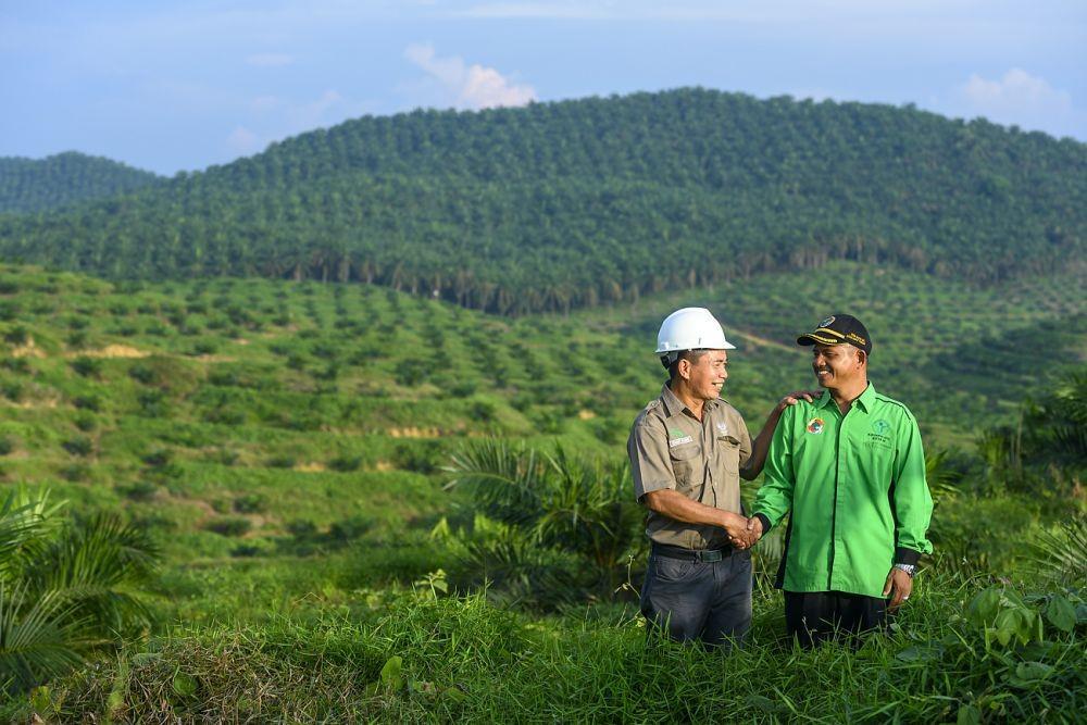 Mengintip Koperasi Bina Usaha Baru yang Sukses Lakukan Replanting