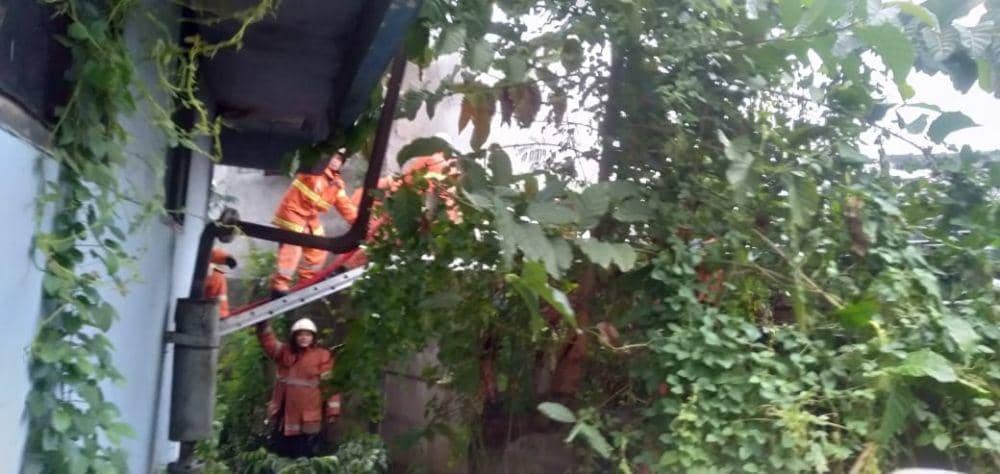 Kebakaran rumah di Jalan Gogor, Surabaya, Jumat (12/11/2021). (dok. command center 112)