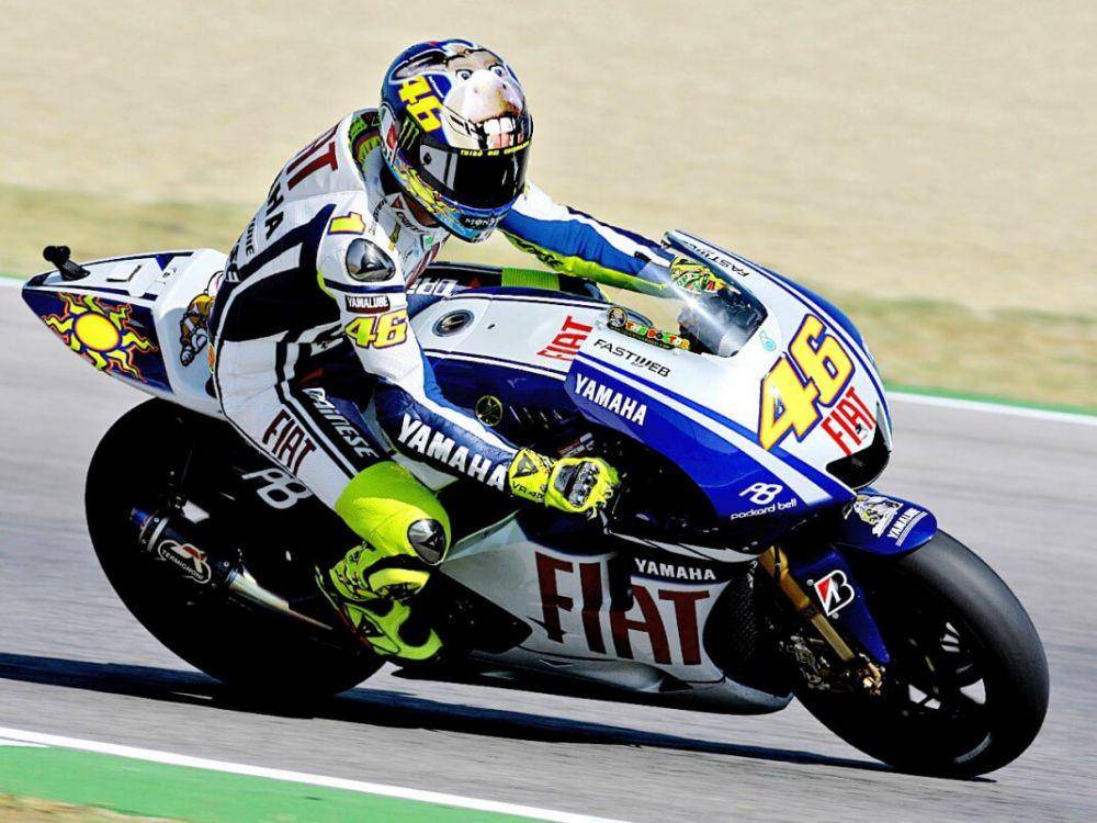 Donkey (motogp.com)