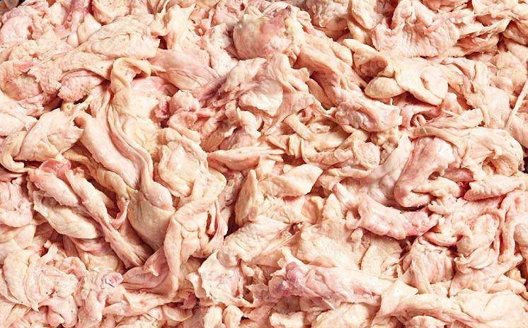 kulit ayam (exportersindia.com)
