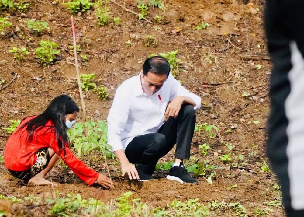 Presiden Jokowi menanam pohon dengan masyarakat NTB (Dok.Biro Pers Kepresidenan)