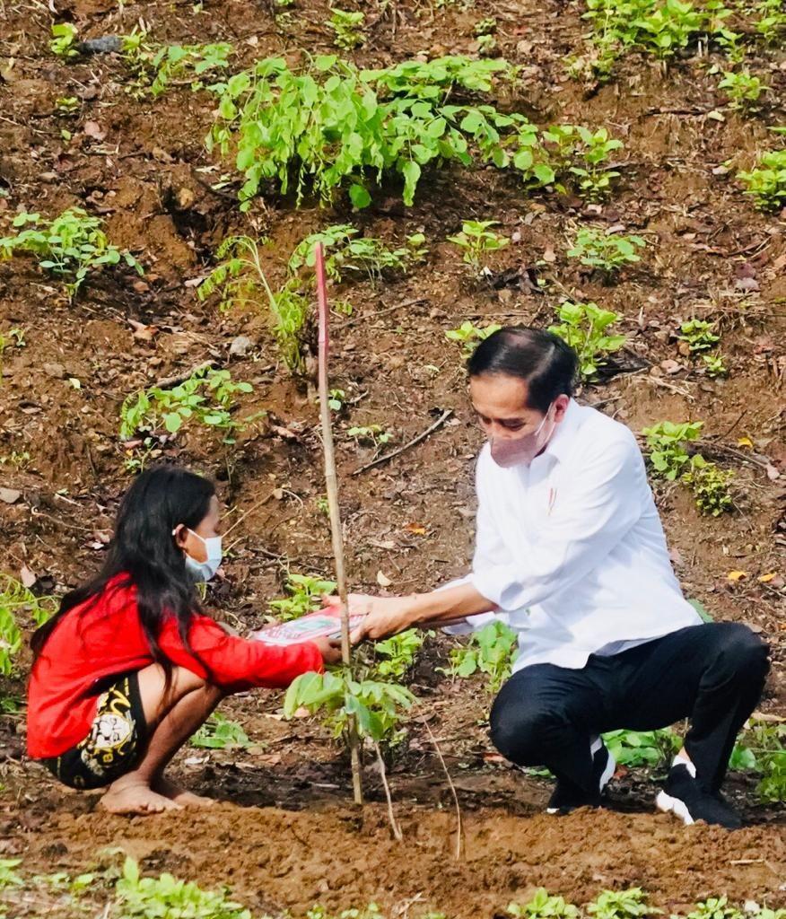 Presiden Jokowi menanam pohon dengan masyarakat NTB (Dok.Biro Pers Kepresidenan)