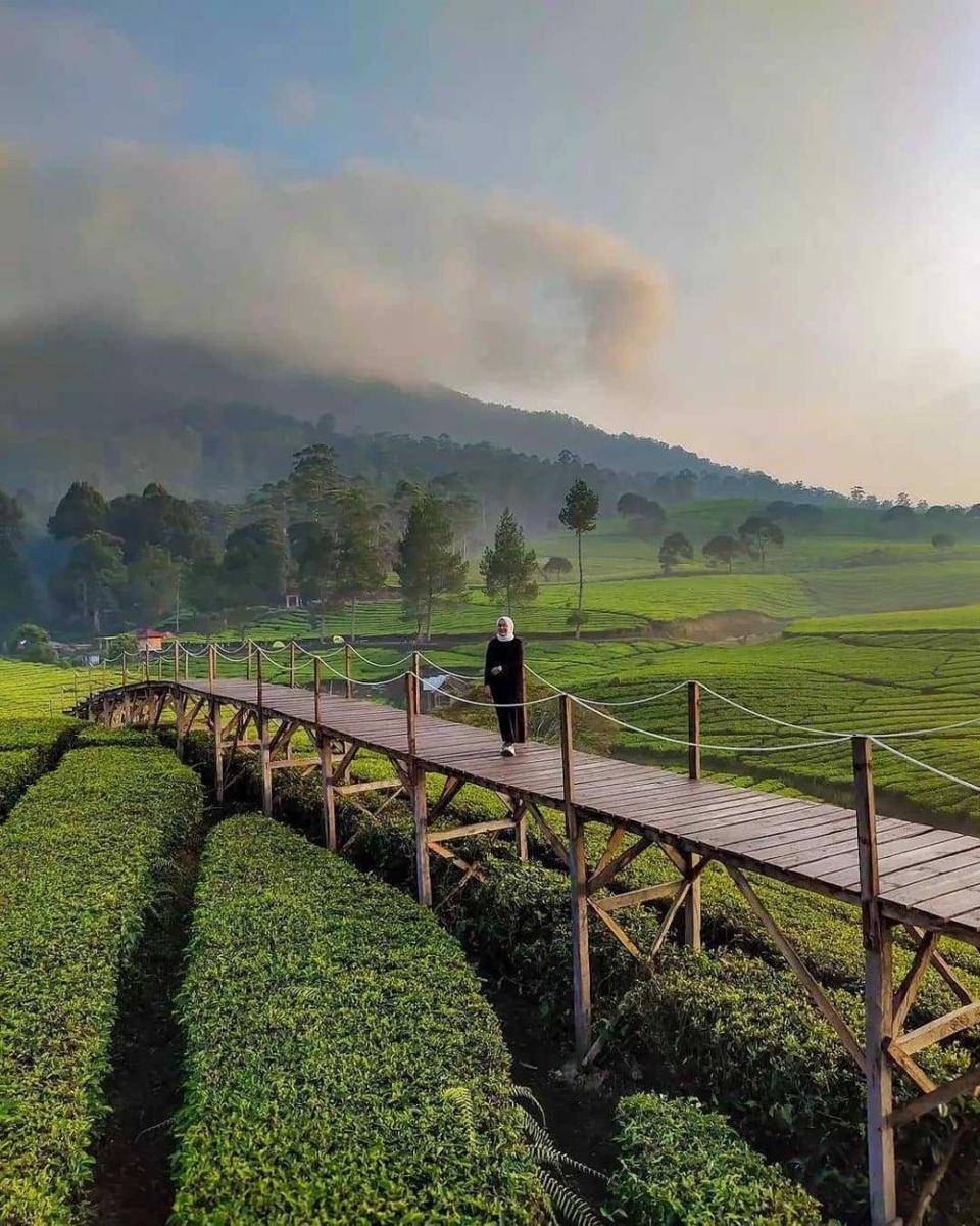 Kebun Teh Riung Gunung (instagram.com/ayodolan)