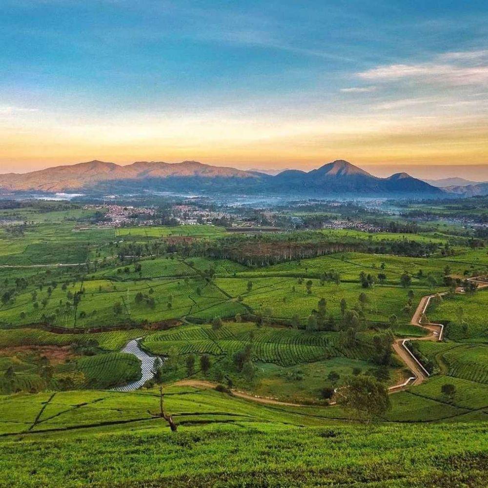 Melihat Hijaunya Perkebunan Teh di 5 Wisata Pangalengan Ini