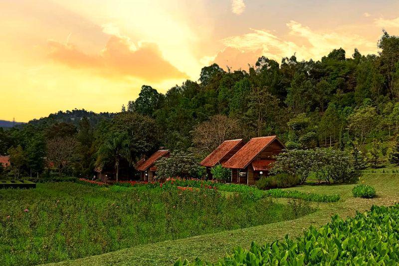 Kebun Mawar Situhapa (instagram.com/tika_in_frame)
