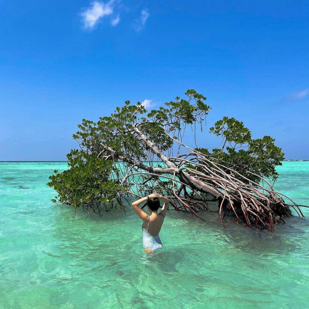 Taman Nasional Karimun Jawa (instagram.com/aanindia)