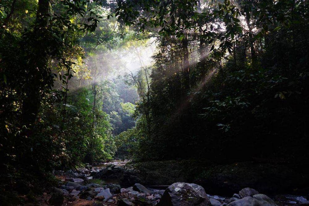 Taman Nasional Bukit Barisan (instagram.com/agoenk_ers)
