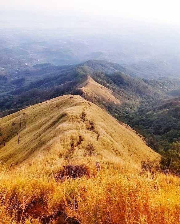 Gunung Wilis (instagram.com/mbah_sholeh99)