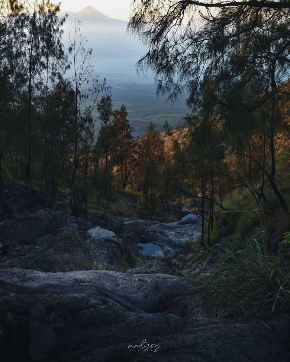 Gunung Arjuno (instagram.com/nindy.sg)