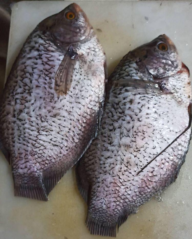 Ikan gurame setelah dibersihkan (instagram.com/bunda_syafaali)