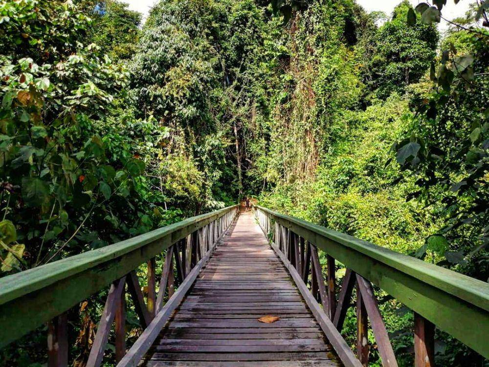 Lambir Hills National Park (instagram.com/my_little_bunny_album)