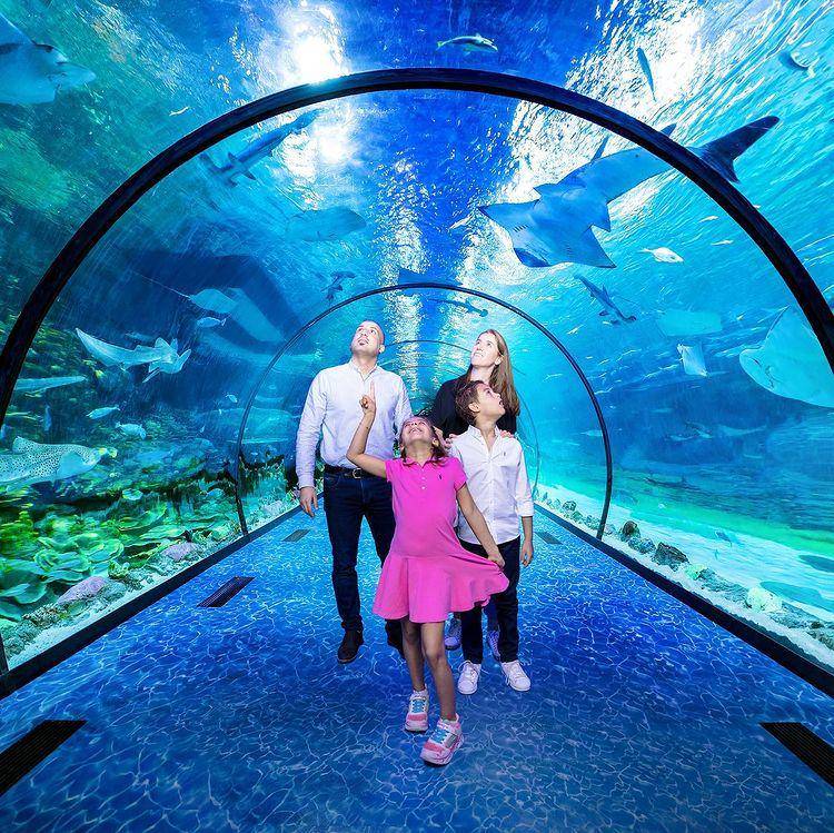 The National Aquarium (instagram.com/dscvr.ae)