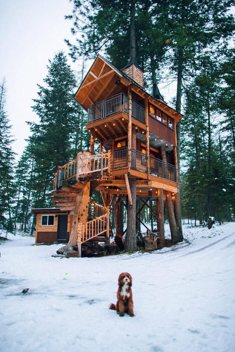 ilustrasi desain rumah pohon (unsplash.com/Roberto Nickson)