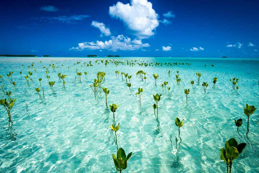 Tuvalu (timelesstuvalu.com)