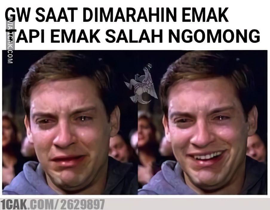 meme Peter Parker (1cak.com)