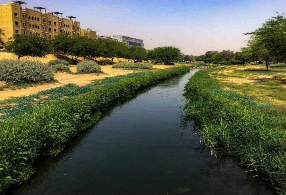 potret Wadi Hanifah (instagram.com/hulbermiklos)