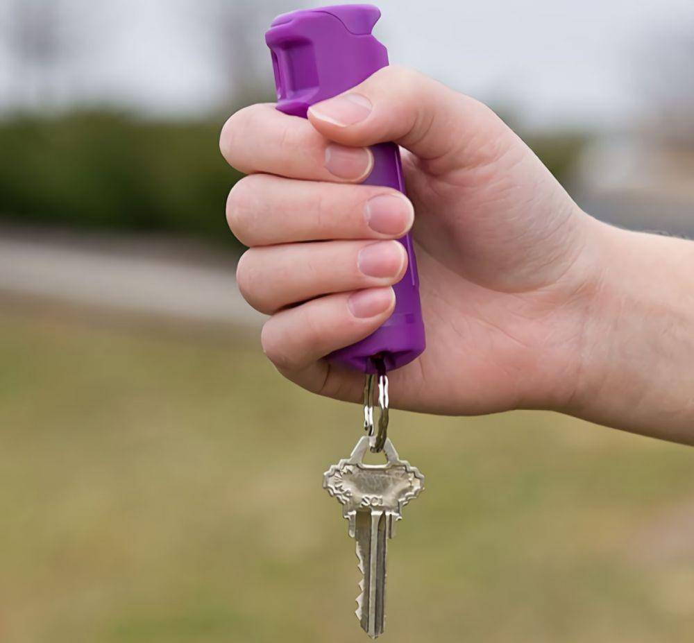 SABRE Pepper Spray & Stun Gun (sabrered.com)