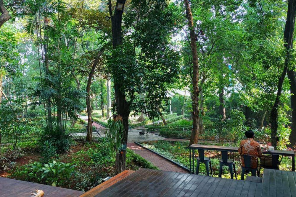 Arborea Cafe (instagram.com/arboreacafe)