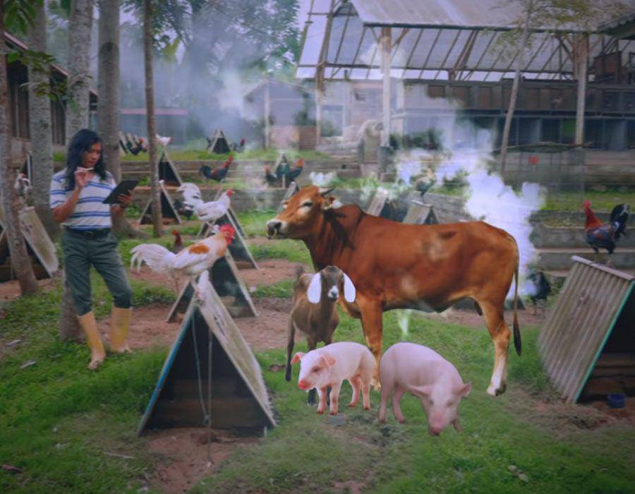 cuplikan adegan video Mulih (youtube.com/navicula)