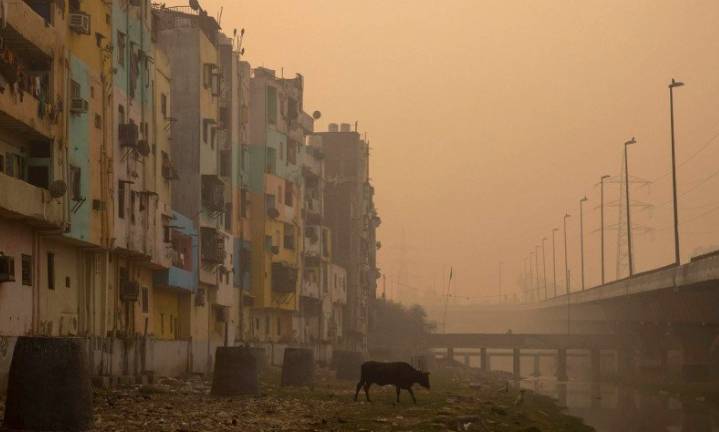 Kualitas udara New Delhi berada di level terburuk tahun ini Sebuah daerah perumahan terselebung kabut asap di New Delhi, India, Senin (9/11/2020). REUTERS/Danish Siddiqui/foc/cfo (REUTERS/DANISH SIDDIQUI)