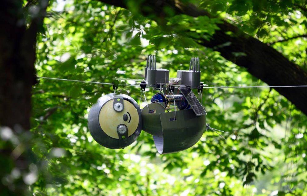 7 Robot Canggih Ini Terinspirasi dari Hewan, Keren Banget