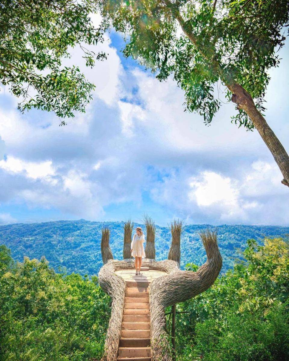 Hutan Pinus Pengger (instagram.com/mysuitcasejourneys)