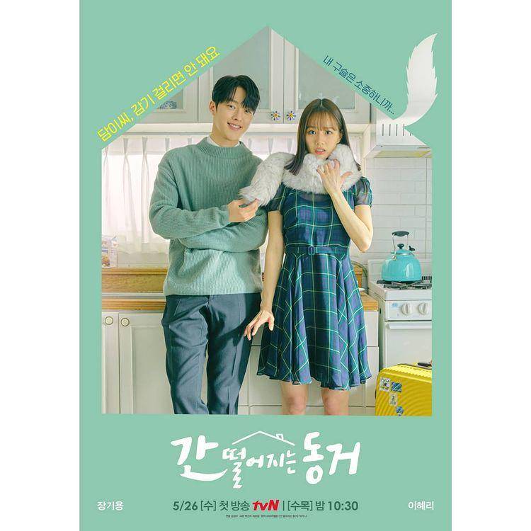 poster My Roomate Is Gumiho (Instagram.com/tvN_Drama)