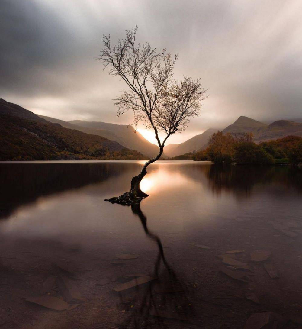 Snowdonia (instagram.com/taliesin.coombes)