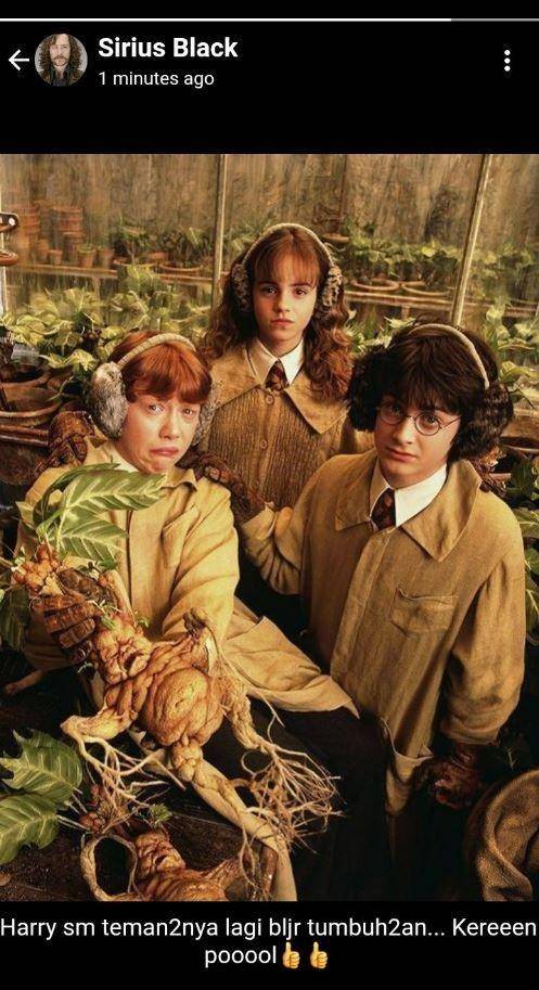 status WhatsApp guru Hogwarts (twitter.com/honeymoreen)