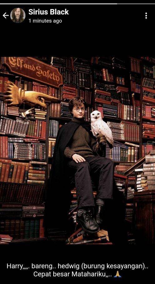 status WhatsApp guru Hogwarts (twitter.com/honeymoreen)