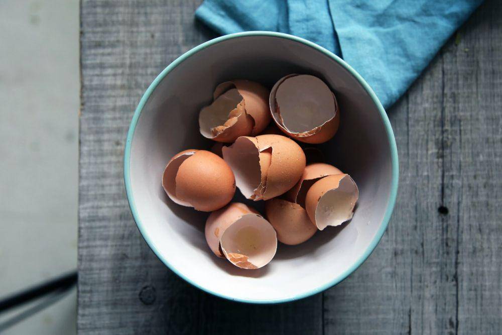 ilustrasi cangkang telur (unsplash.com/@carolineattwood)