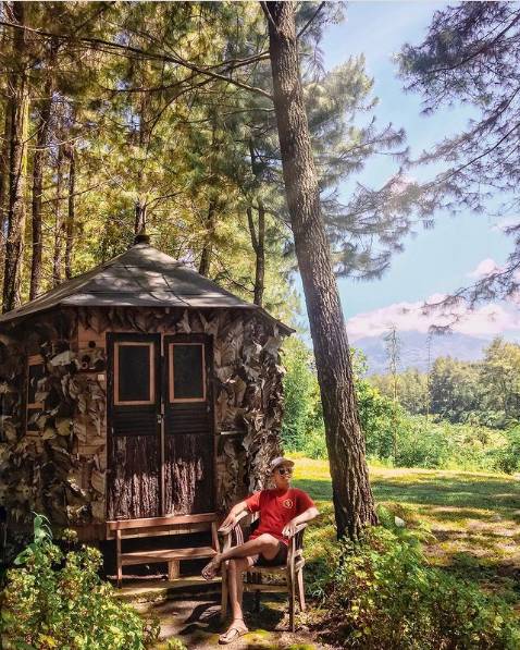 Wisata Pinus Songgon (instagram.com/alvinsusastra)