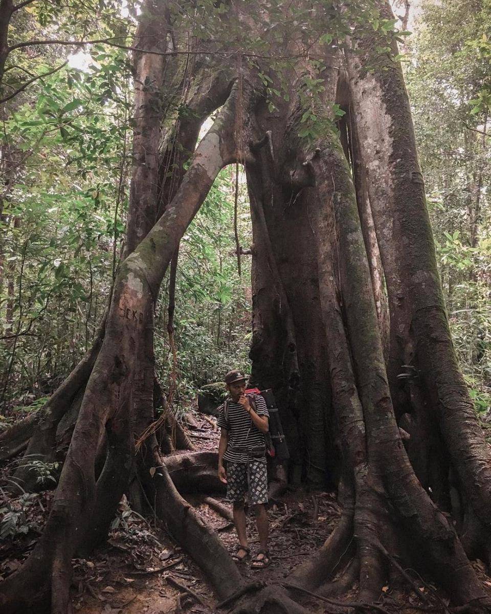 Pegunungan Meratus (instagram.com/haikal.alkatiri)