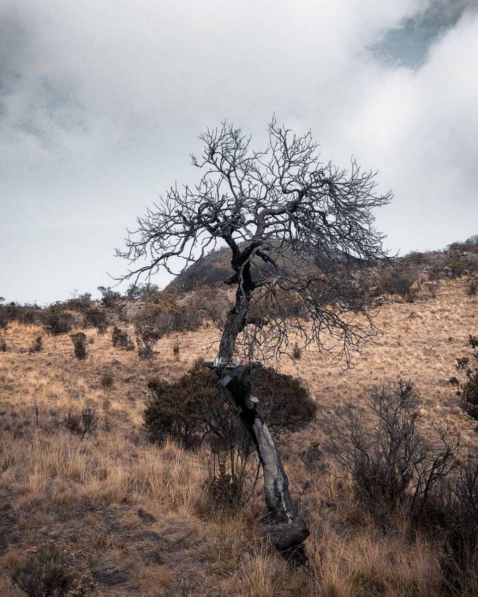 Gunung Lawu (instagram.com/bayyou.ir)