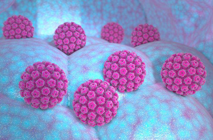ilustrasi human papillomavirus (health.clevelandclinic.org)