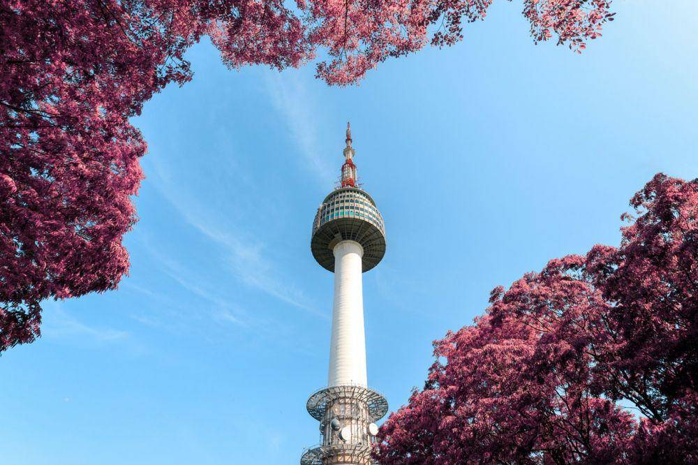 Namsan Seoul Tower (pexels.com/AleksandarPasaric)