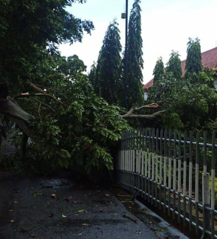 Pohon tumbang di Balai Yasa Bengkel Kereta Api di Yogyakarta . Instragram/bpbddiy