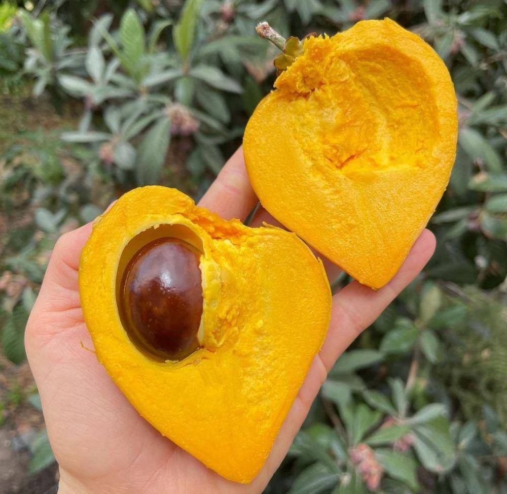 sapote (instagram.com/dani.in.the.raw)