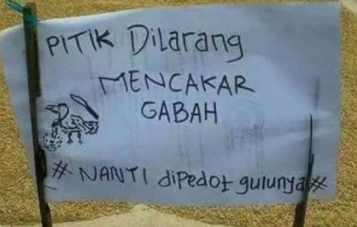 peraturan nyeleneh (instagram.com/sukijan.id)