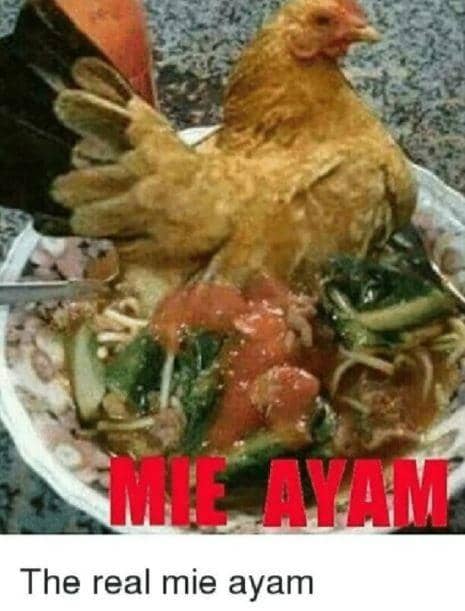 potret apes makan mi ayam (me.me)