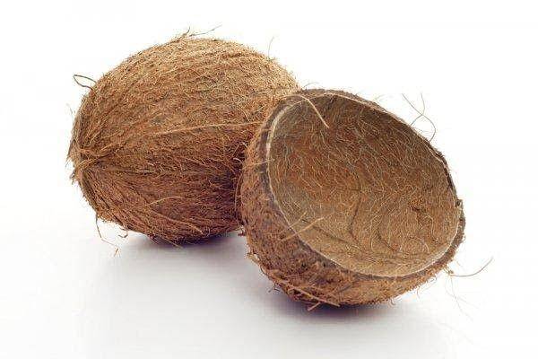 Tempurung kelapa