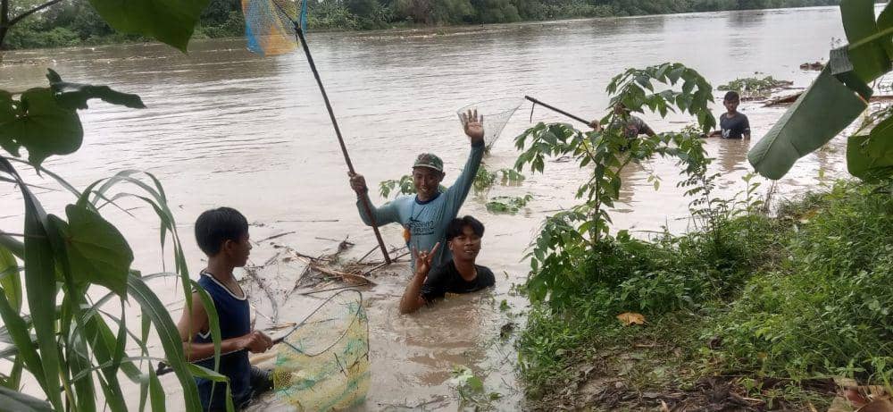 Warga Kabupaten Lamongan berburu ikan "mabuk" di Sungai Bengawan Solo. IDN Times/Imron