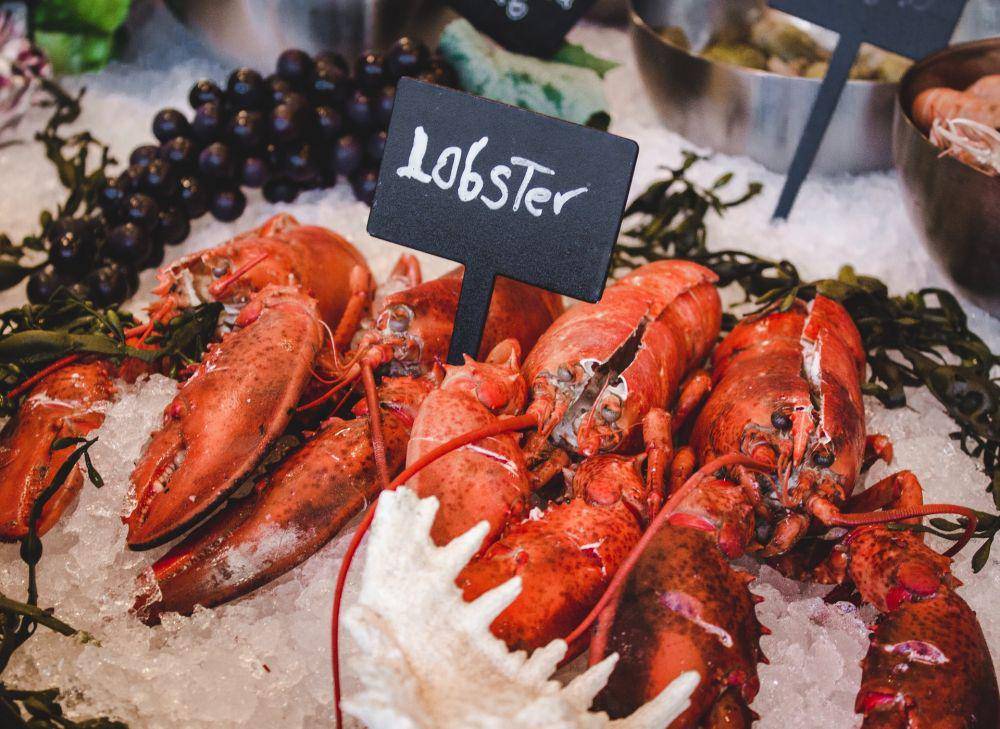 Lobster (Unsplash.com/Louis Hansel)