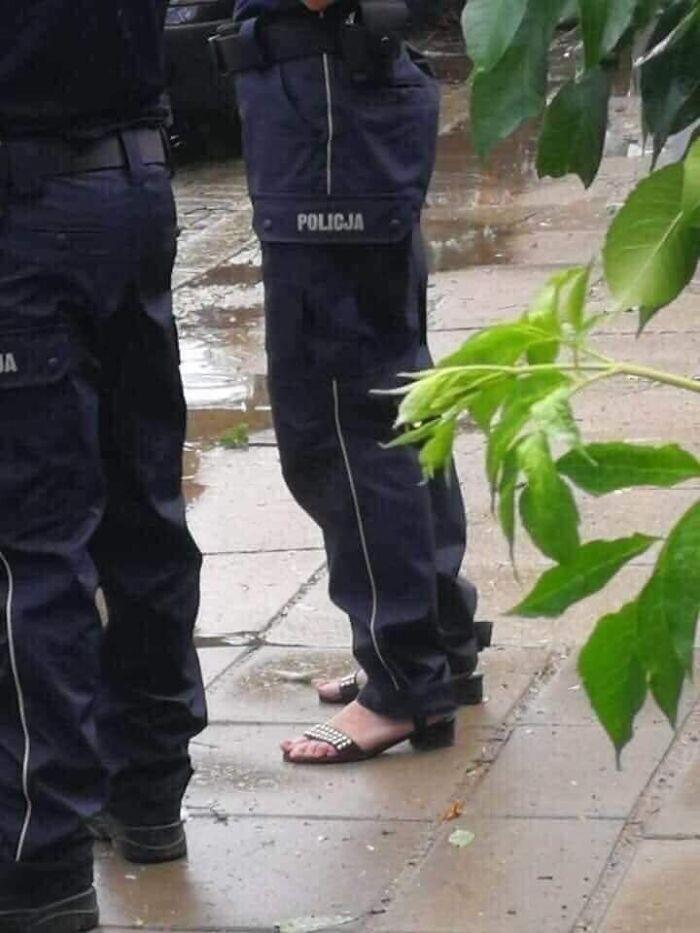 momen random tapi kocak (facebook.com/picturesfrompolishprofile)