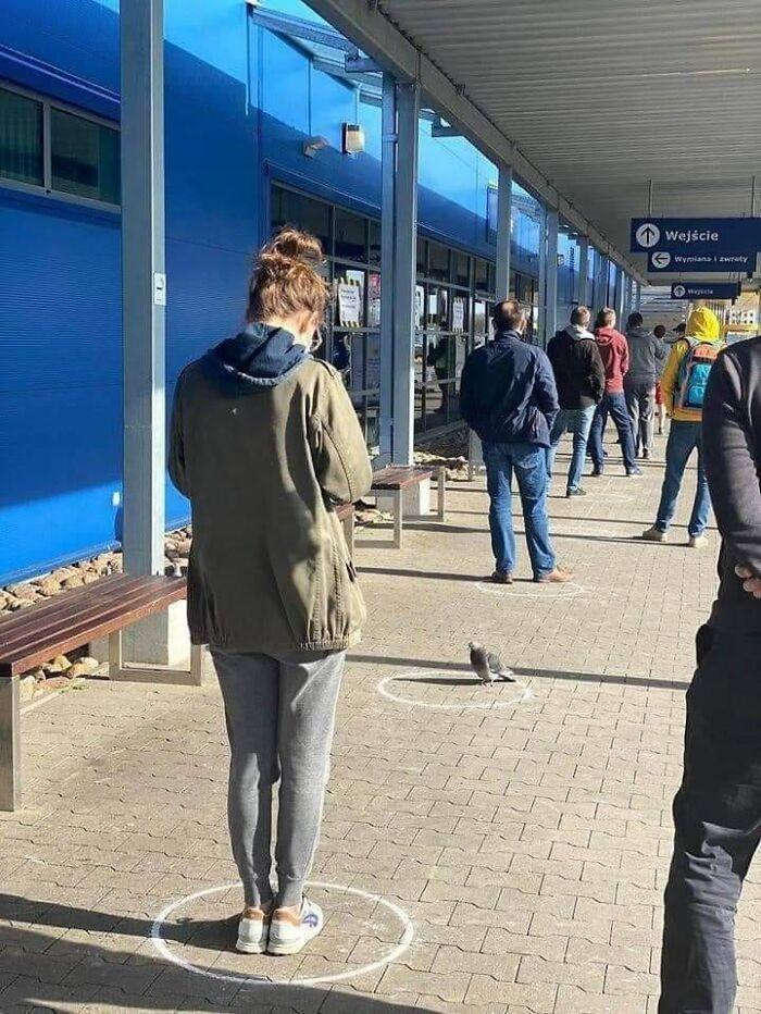 momen random tapi kocak (facebook.com/picturesfrompolishprofile)