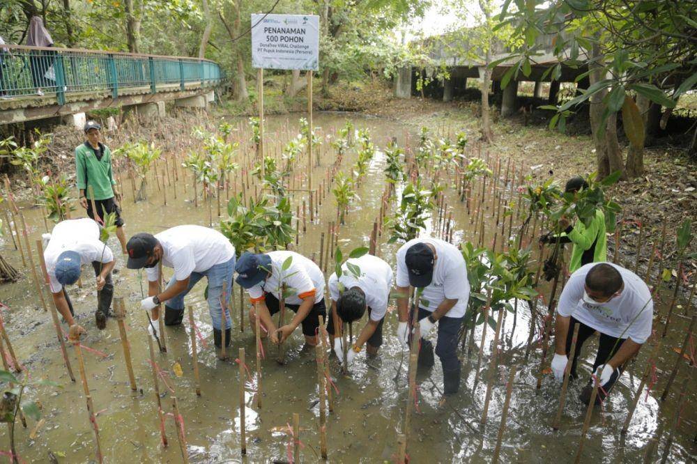 PT Pupuk Indonesia melakukan penanaman mangrove untuk tujuan penanganan perubahan iklim dan menjaga ekosistem darat. (Dok. Pupuk Indonesia)