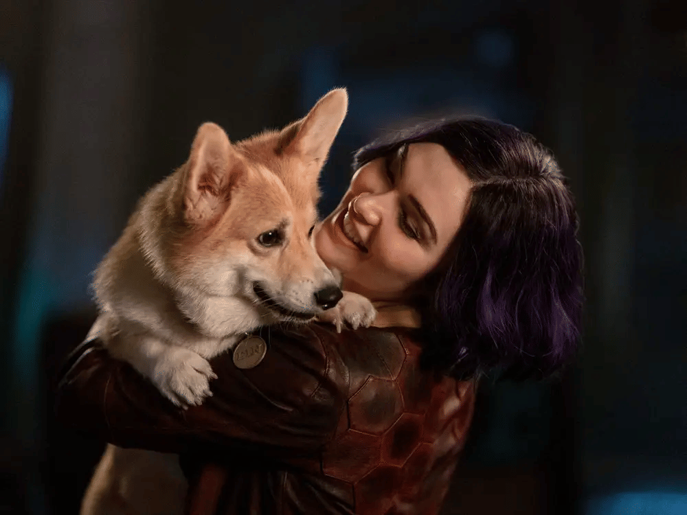 Netflix/Cowboy Bebop