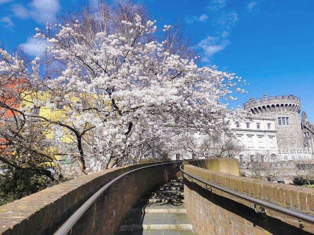 5 Tempat Wisata di Dublin, Irlandia yang Pesonanya Bikin Geleng Kepala
